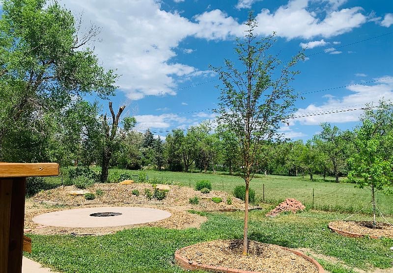 East view of garden and neighbor's field