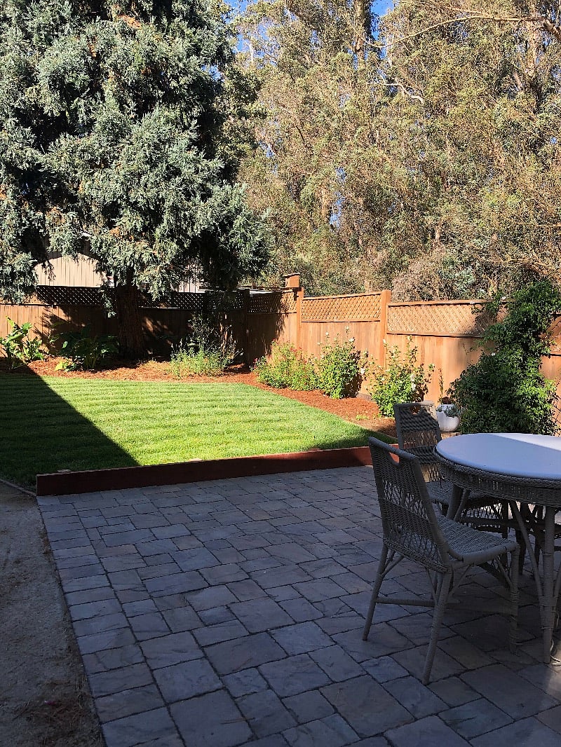 backyard with patio and lawn area