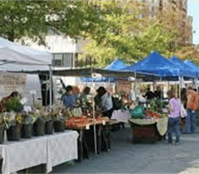 Stop by the farmer's market on your Saturday morning stroll to pick up fresh produce!