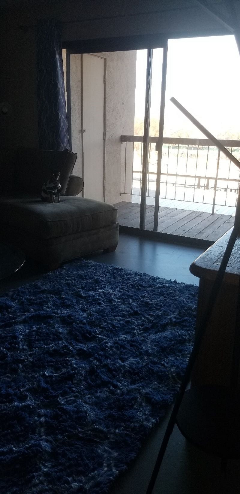 Furnished Finder property 234511_1 photo 12