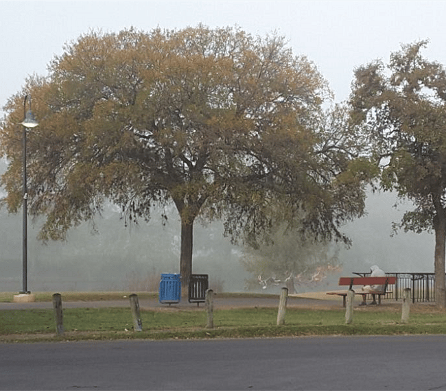 View to park in front of house.
