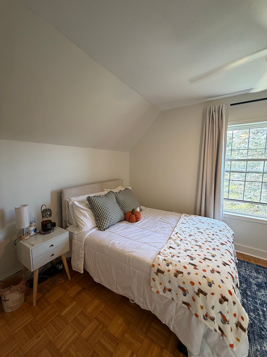 Furnished Finder property 234704_1 photo 14