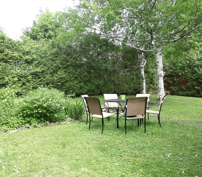 Beautiful backyard