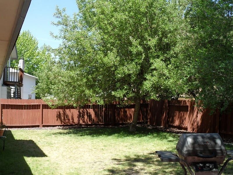 LARGE SHADED BACK YARD WITH APPLE TREES