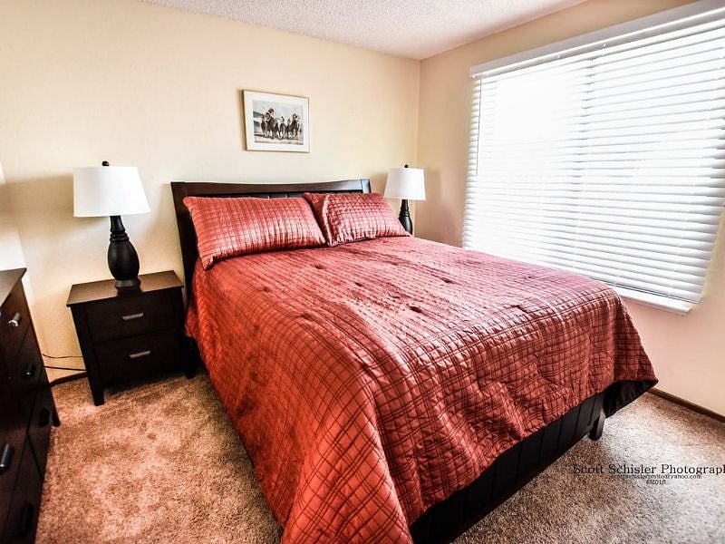 Furnished Finder property 234784_1 photo 21