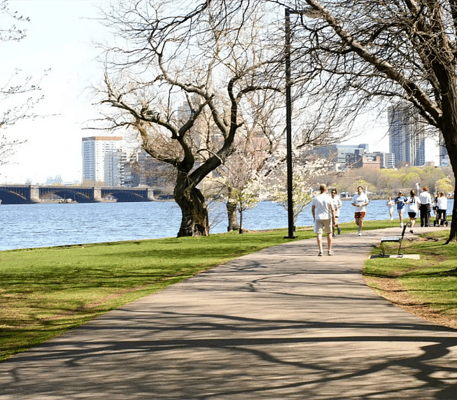 Walk the long paths on the Esplanade by the Charles RIver