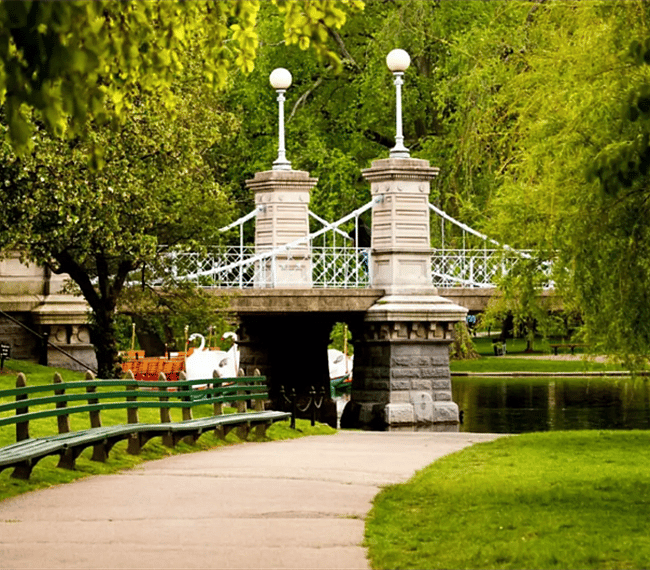 Take a swan boat ride in the Boston Garden