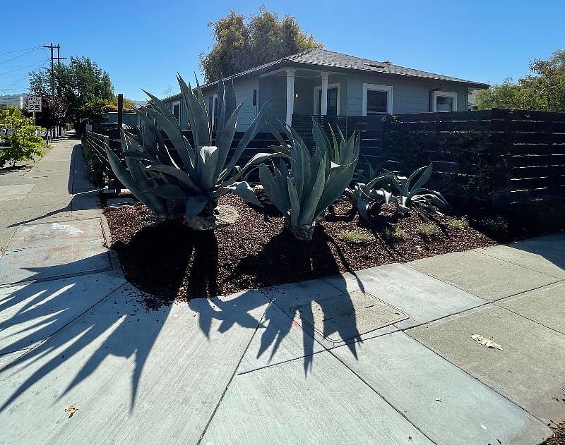 STREET CORNER | Agave garden facing bunglow entrance, side yard gate