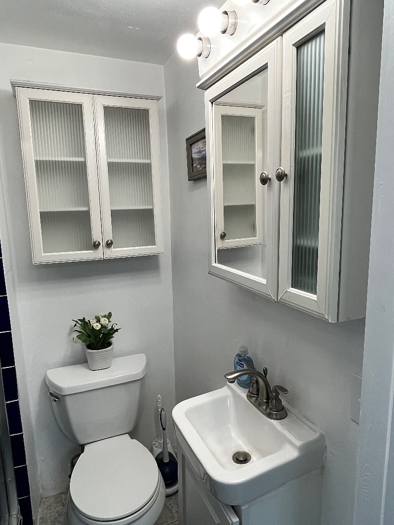 Furnished Finder property 235289_1 photo 9