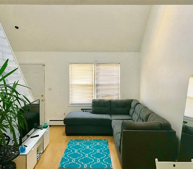 Furnished Finder property 235595_1 photo 5
