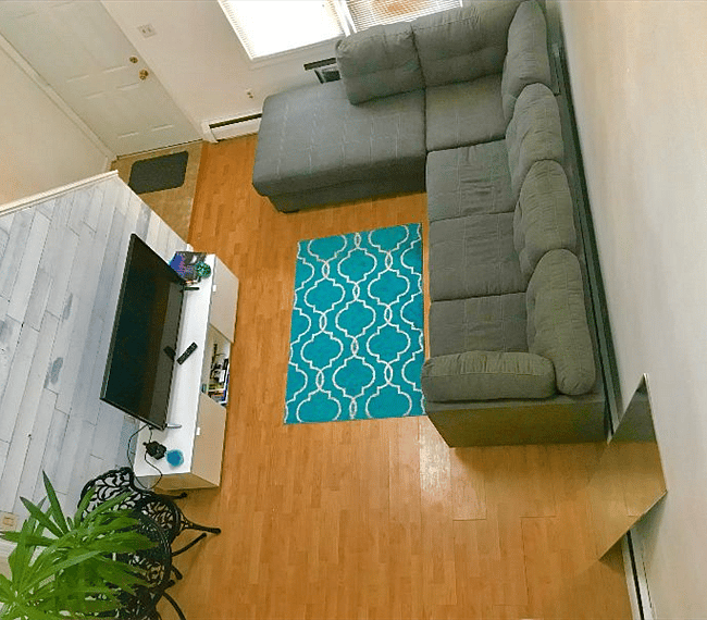 Furnished Finder property 235595_1 photo 6
