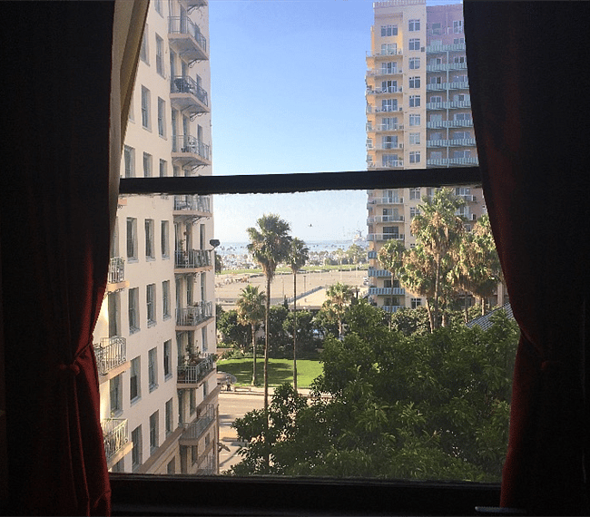 view from living room window