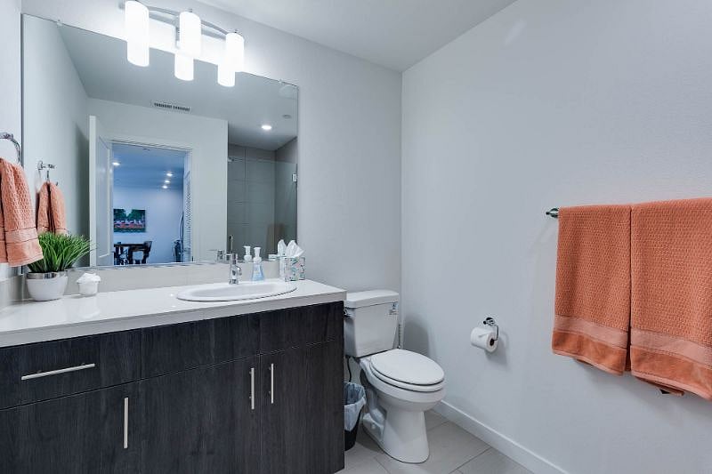 Furnished Finder property 236121_7 photo 13