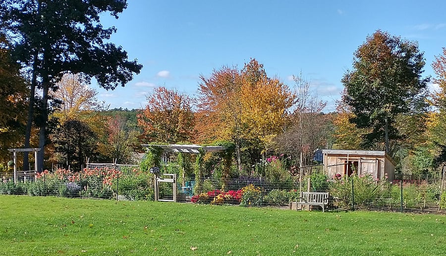 Free access to the garden and yard