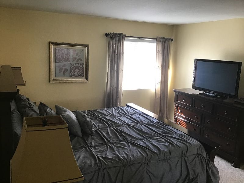 Furnished Finder property 236310_1 photo 8