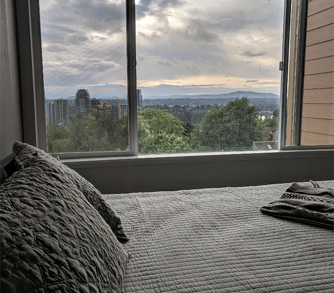Morning view.