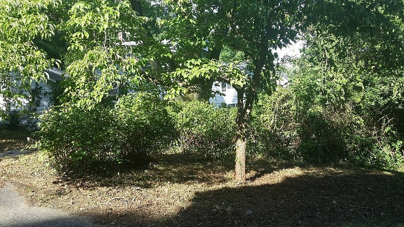 Yard space