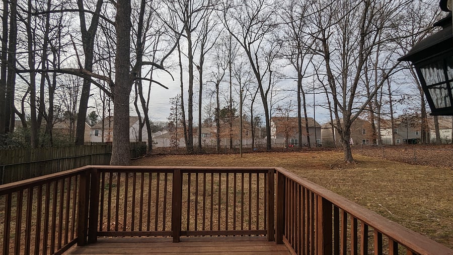 Fully Fenced Backyard