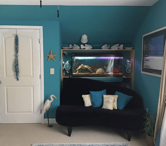 Other side of the Aqua room