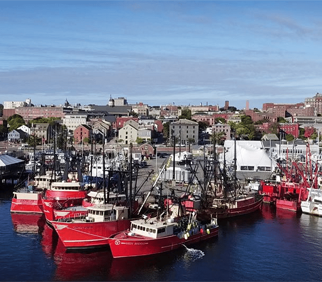 The New Bedford Seaport is the busiest commercial fishing port in America.