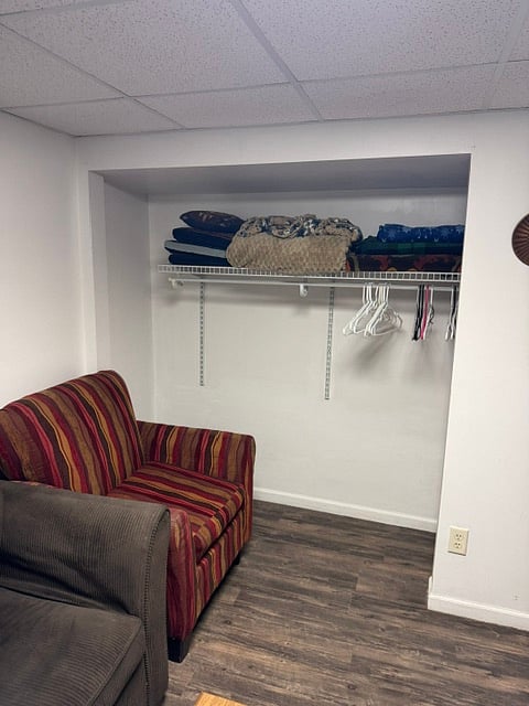 Extra storage in living room closet.