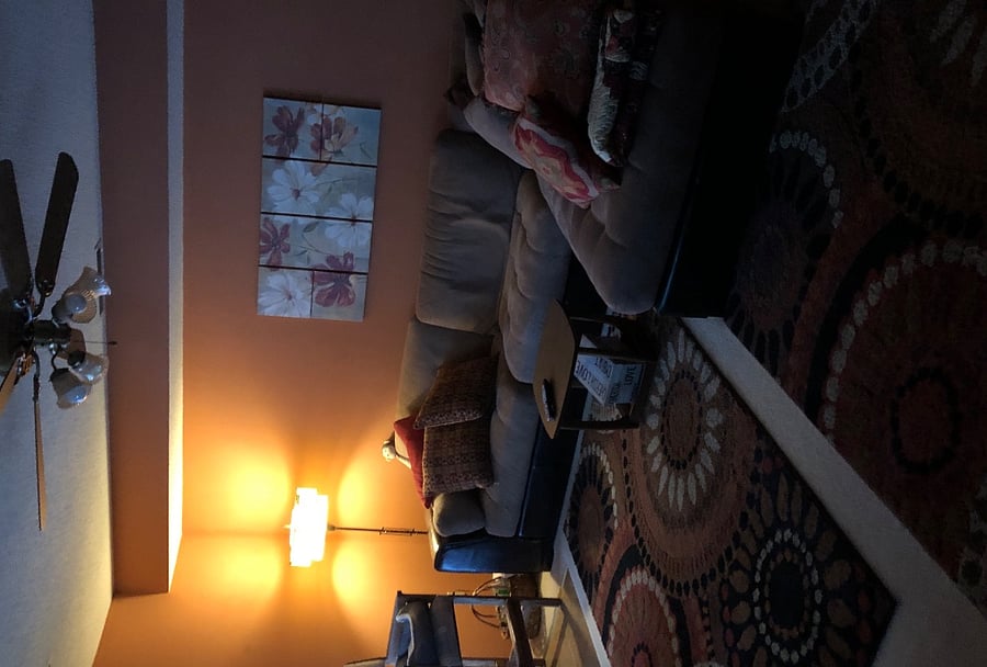 Furnished Finder property 237266_1 photo 4