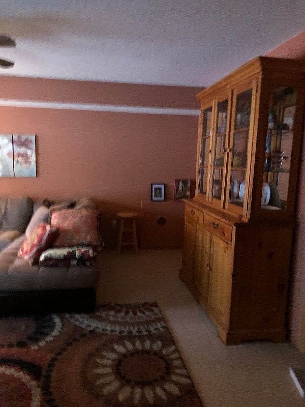 Furnished Finder property 237266_1 photo 5