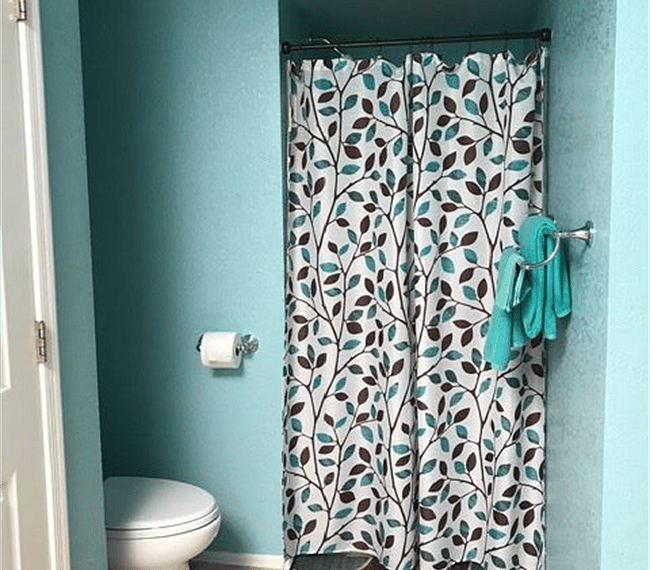 Shower and Toilet