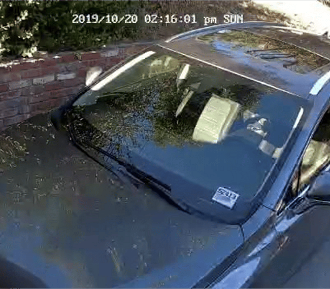 Parking space in driveway, as viewed from the security camera.