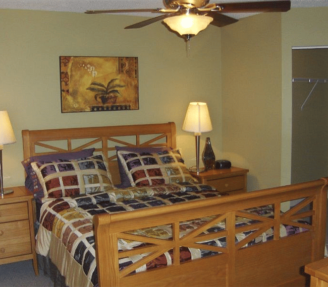 Furnished Finder property 237652_1 photo 18
