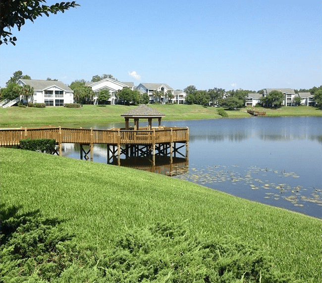 Furnished Finder property 237652_1 photo 24