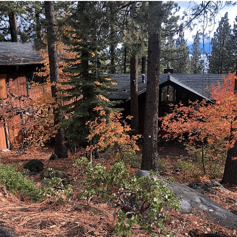 Furnished Finder property 237903_1 photo 1