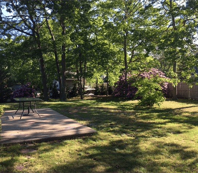 Private back yard