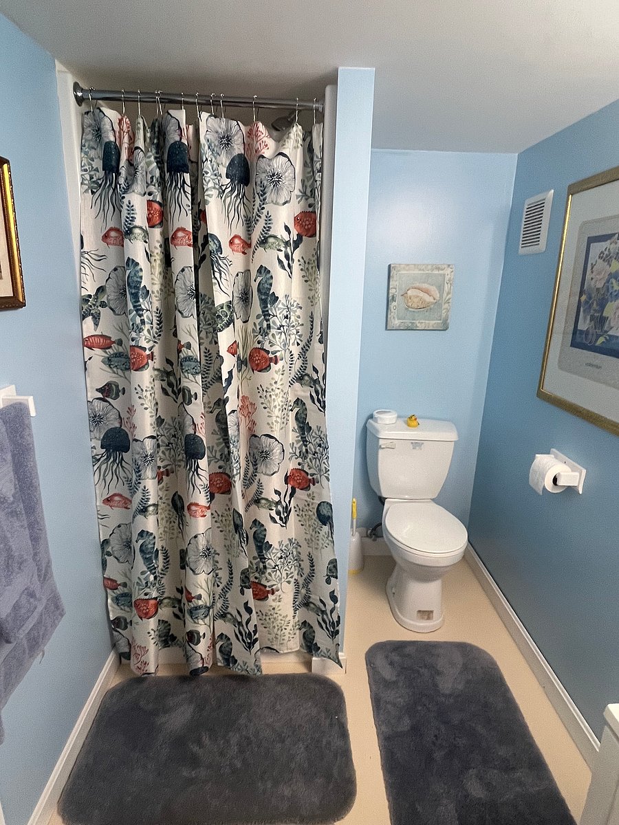 Downstairs full bath with shower and sink