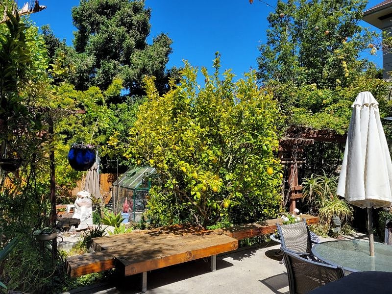 view of shared garden