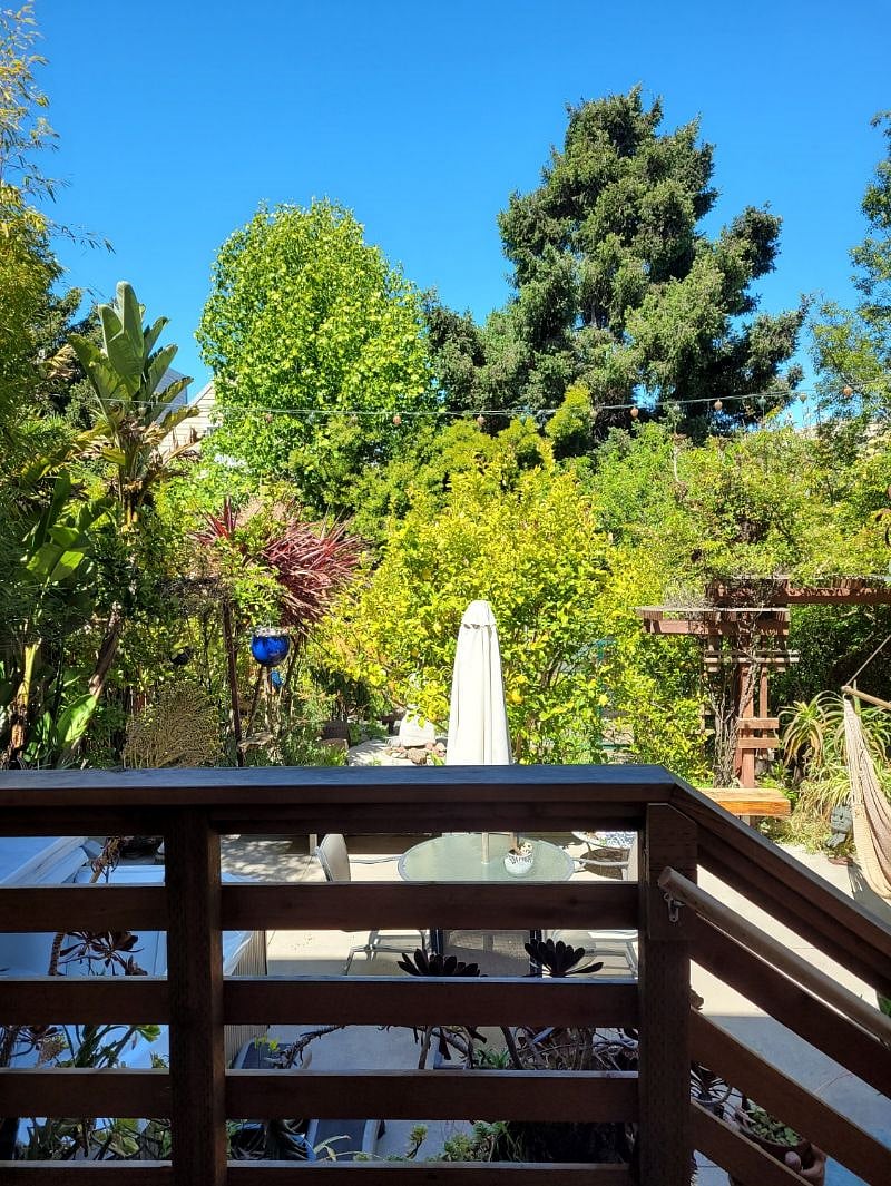 view from deck