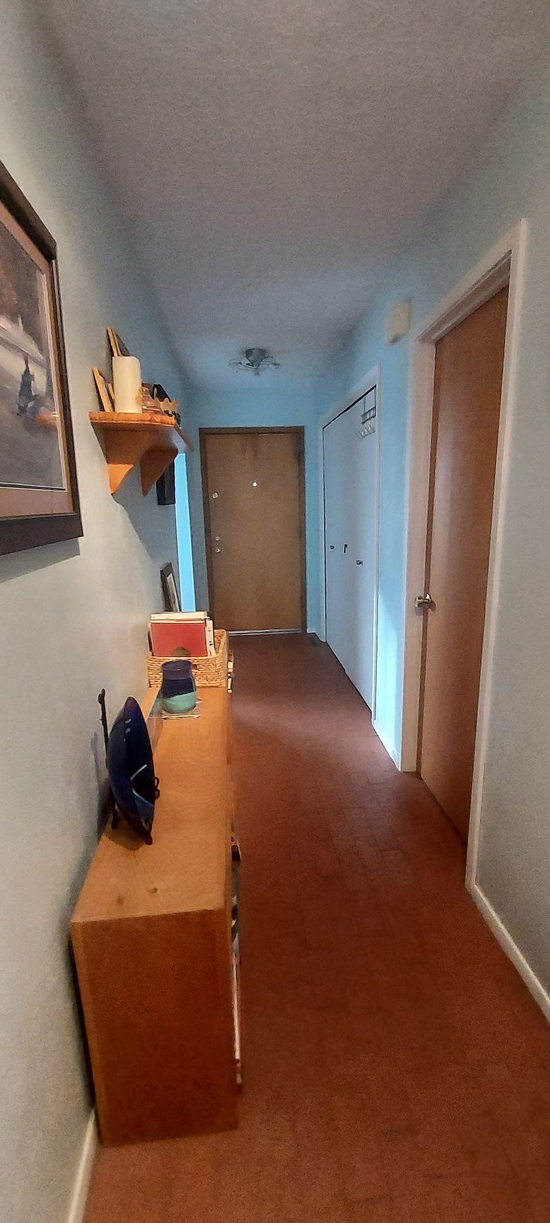 The main entrance and the hallway