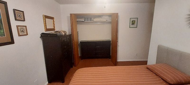 Guest Bedroom closets and furnitures