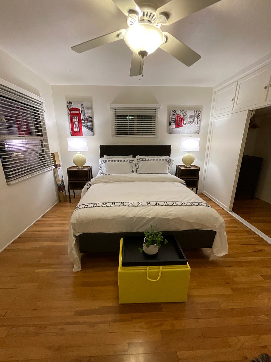 Furnished Finder property 239218_1 photo 20