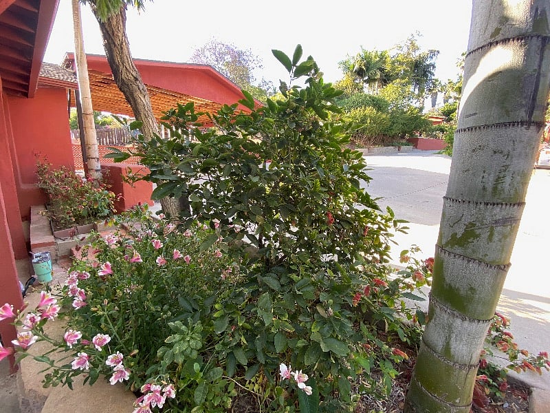Furnished Finder property 239218_1 photo 39