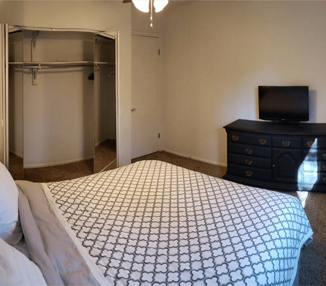 Furnished Finder property 239289_1 photo 8
