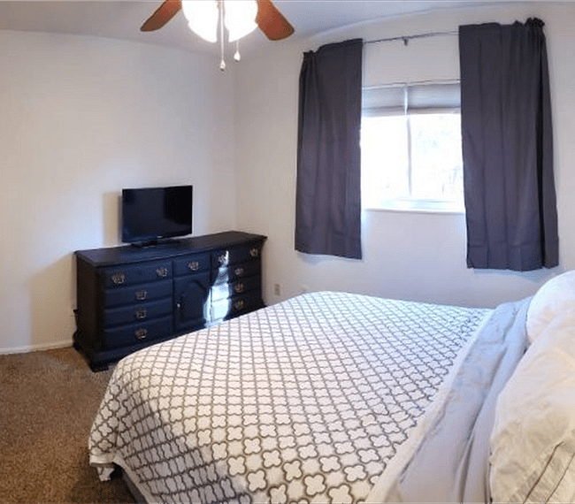 Furnished Finder property 239289_1 photo 7