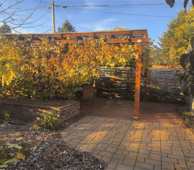 Enjoy a covered patio with gas grill adorned with grapevines surrounded by ferns and berries. 