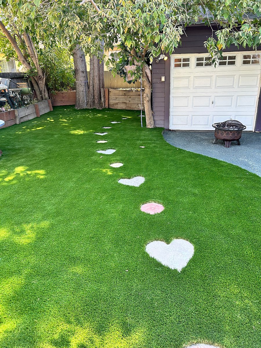 Shared backyard space.