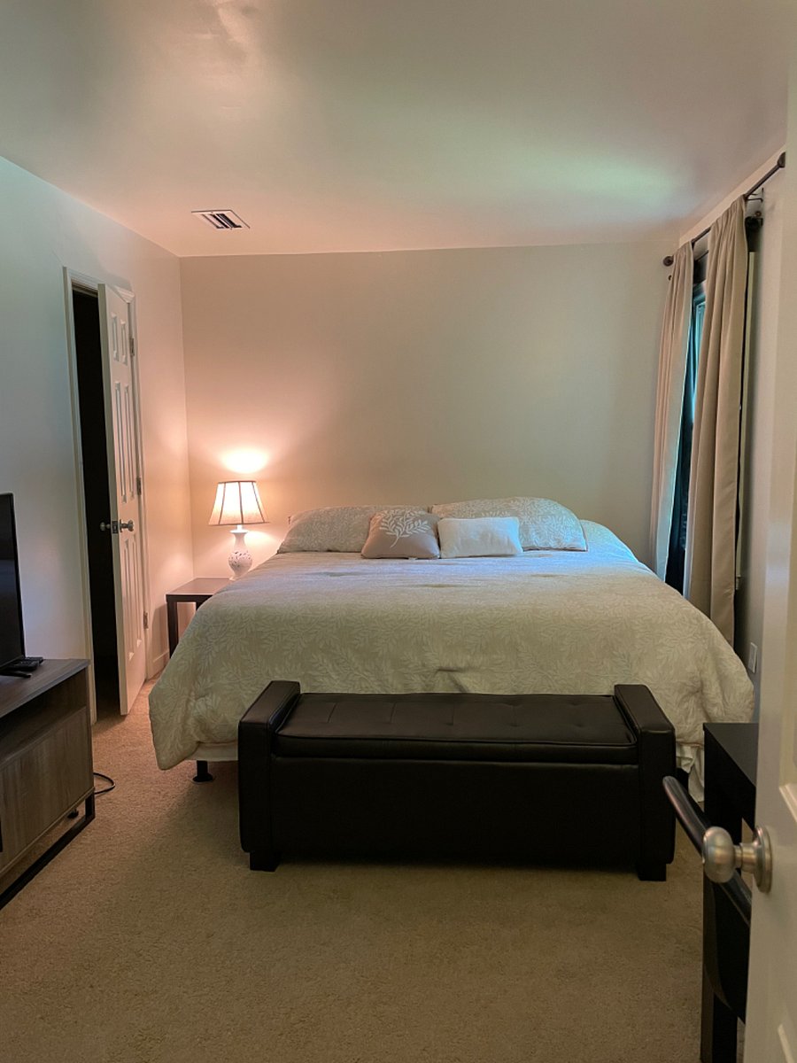 Furnished Finder property 239511_1 photo 33