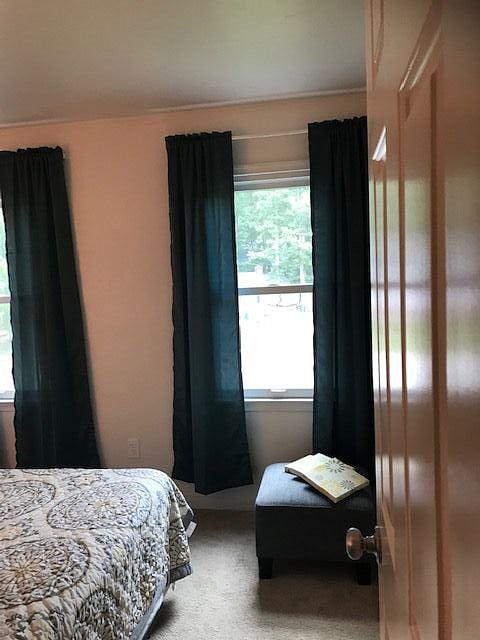 Furnished Finder property 239511_1 photo 22