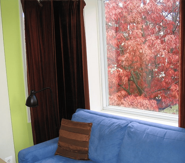 Furnished Finder property 239588_1 photo 11