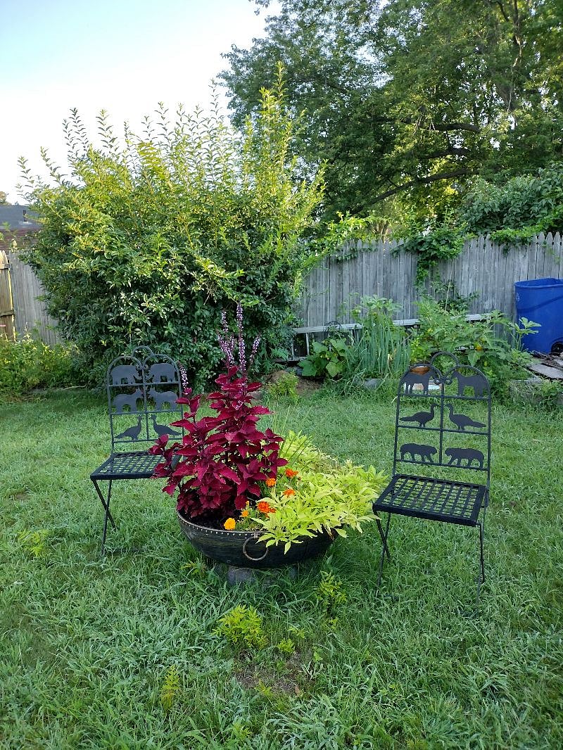 Furnished Finder property 239756_1 photo 14