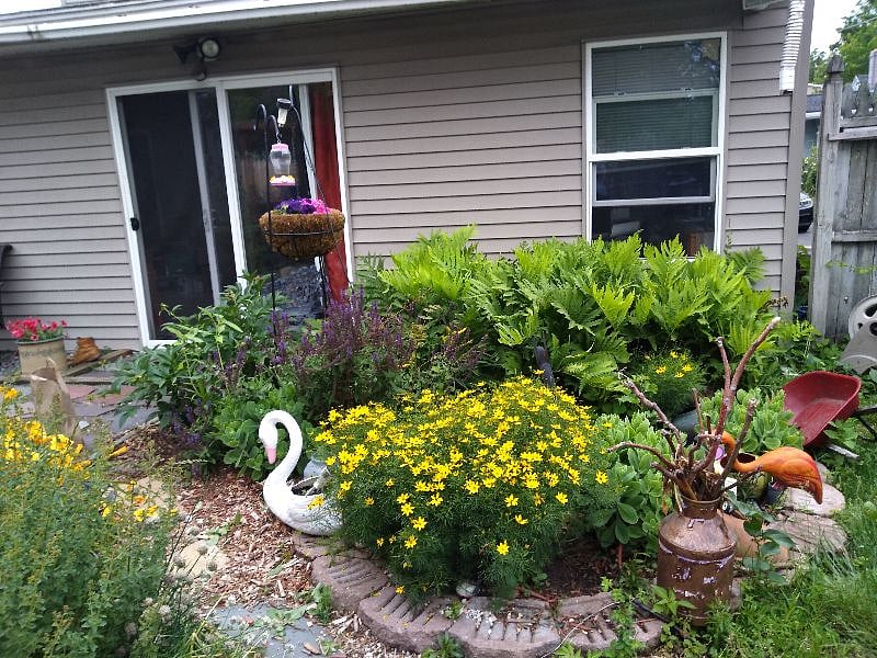 Furnished Finder property 239756_1 photo 10