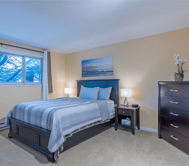 Furnished Finder property 239836_1 photo 6